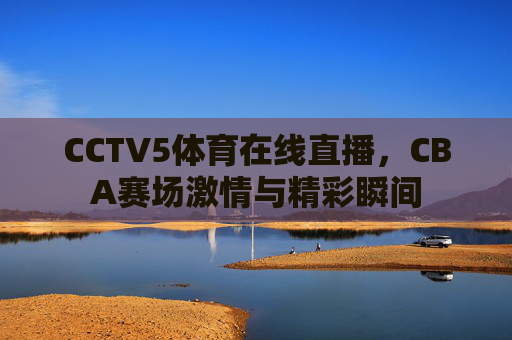 CCTV5体育在线直播，CBA赛场激情与精彩瞬间