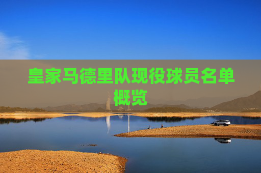 皇家马德里队现役球员名单概览