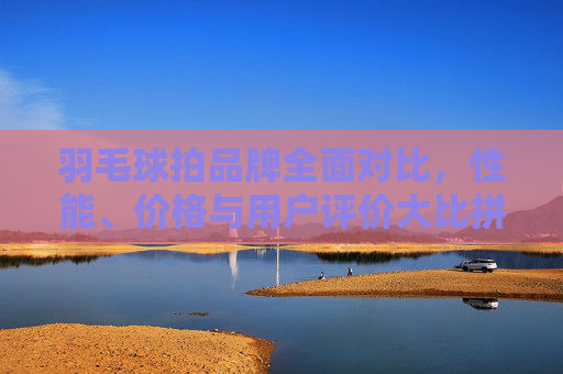 羽毛球拍品牌全面对比，性能、价格与用户评价大比拼
