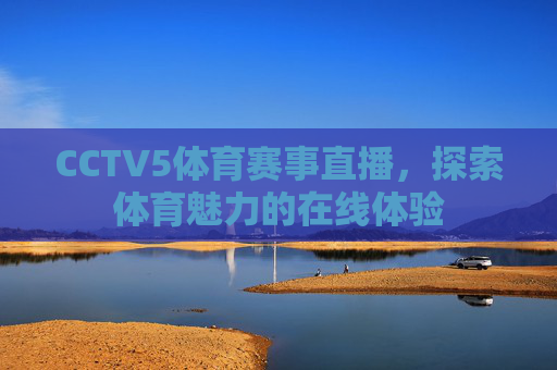 CCTV5体育赛事直播，探索体育魅力的在线体验