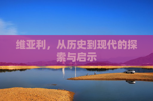 维亚利，从历史到现代的探索与启示