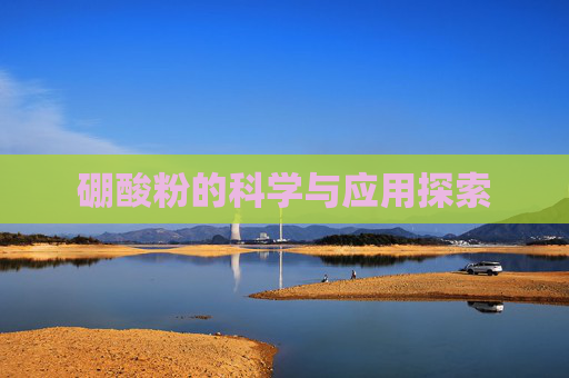 硼酸粉的科学与应用探索