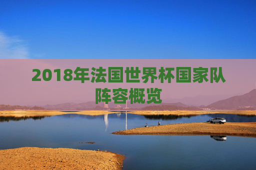 2018年法国世界杯国家队阵容概览