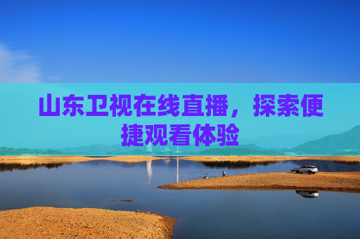 山东卫视在线直播，探索便捷观看体验