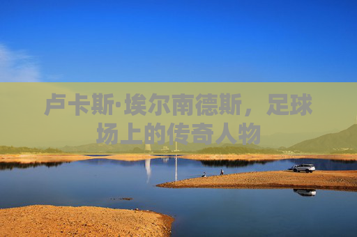 卢卡斯·埃尔南德斯，足球场上的传奇人物