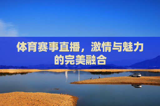 体育赛事直播，激情与魅力的完美融合