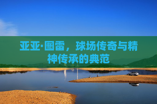 亚亚·图雷，球场传奇与精神传承的典范