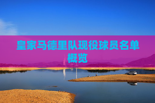 皇家马德里队现役球员名单概览
