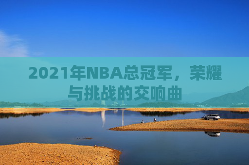 2021年NBA总冠军，荣耀与挑战的交响曲