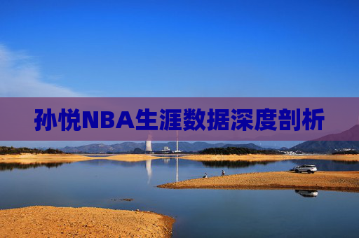 孙悦NBA生涯数据深度剖析