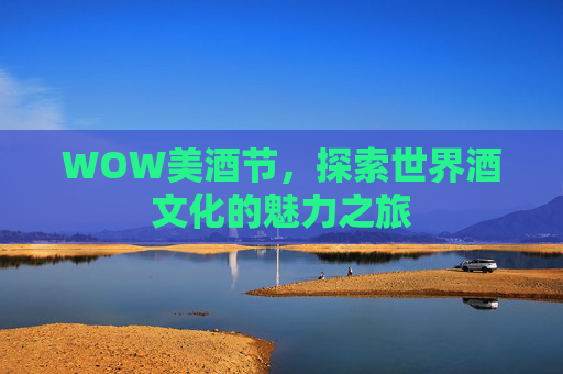WOW美酒节，探索世界酒文化的魅力之旅