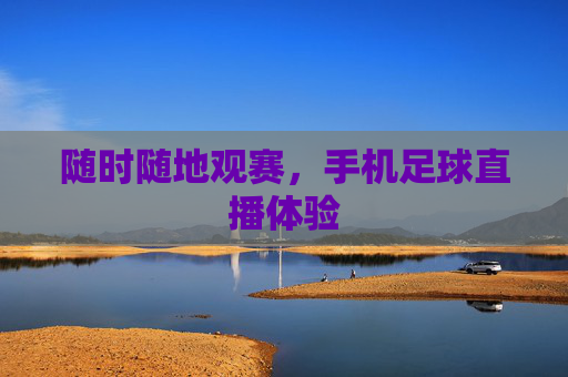 随时随地观赛，手机足球直播体验