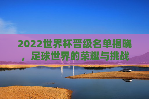 2022世界杯晋级名单揭晓，足球世界的荣耀与挑战