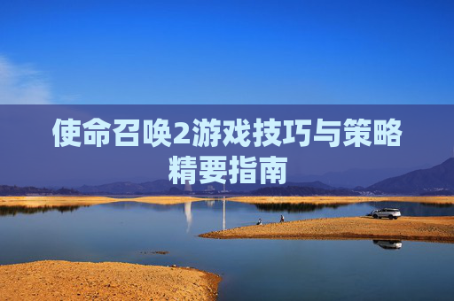 使命召唤2游戏技巧与策略精要指南