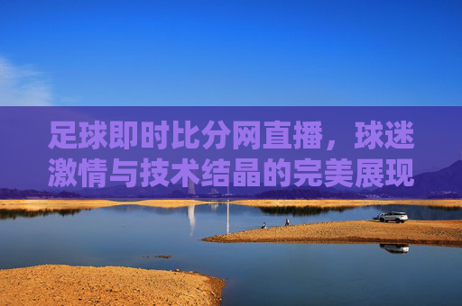 足球即时比分网直播，球迷激情与技术结晶的完美展现