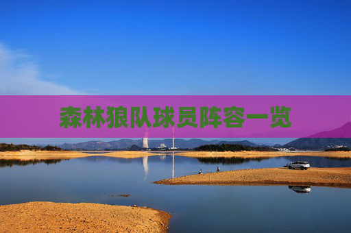 森林狼队球员阵容一览