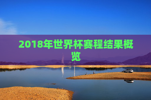 2018年世界杯赛程结果概览