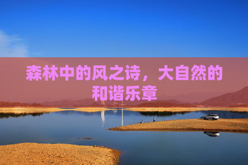 森林中的风之诗,大自然的和谐乐章 森林中的风之诗,大自然的和谐乐章