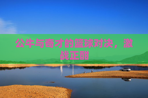 公牛与奇才的篮球对决,激战正酣 公牛与奇才的篮球对决,激战正酣