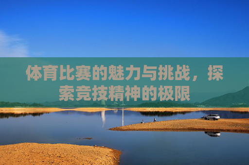 体育比赛的魅力与挑战，探索竞技精神的极限