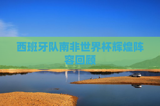 西班牙队南非世界杯辉煌阵容回顾
