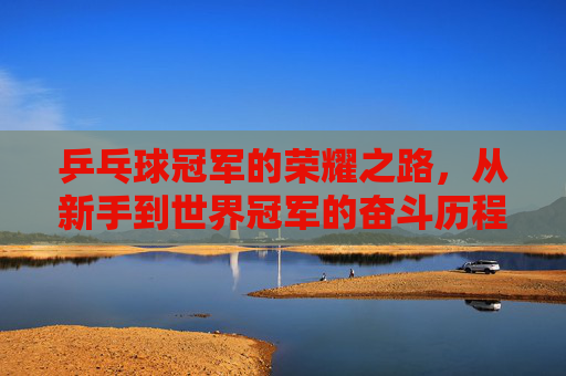 乒乓球冠军的荣耀之路，从新手到世界冠军的奋斗历程