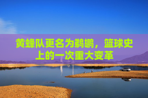 黄蜂队更名为鹈鹕，篮球史上的一次重大变革