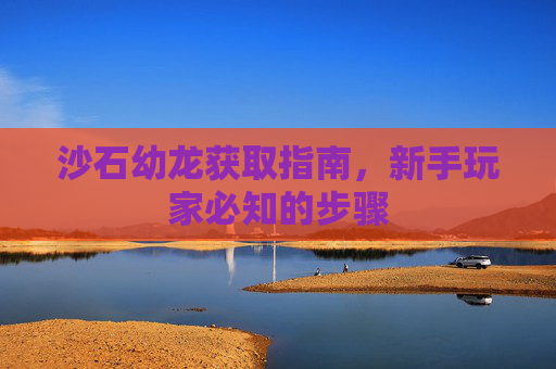 沙石幼龙获取指南，新手玩家必知的步骤