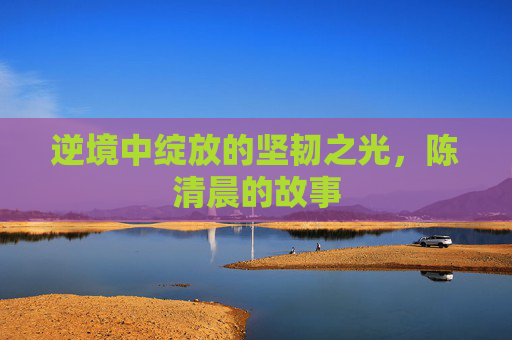 逆境中绽放的坚韧之光，陈清晨的故事