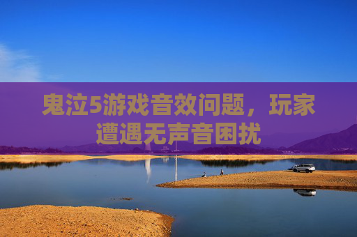 鬼泣5游戏音效问题,玩家遭遇无声音困扰 鬼泣5游戏音效问题,玩家遭遇无声音困扰