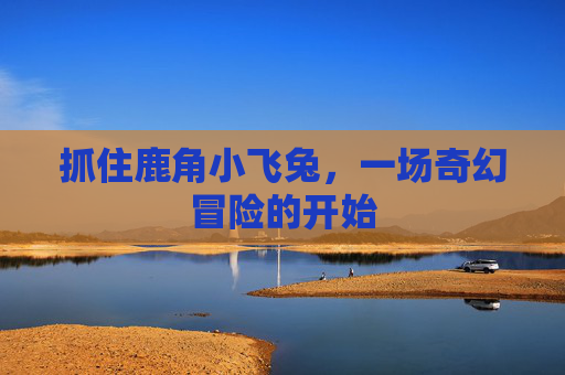 抓住鹿角小飞兔，一场奇幻冒险的开始