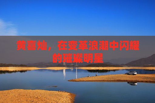 黄喜灿，在变革浪潮中闪耀的璀璨明星