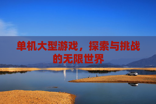 单机大型游戏，探索与挑战的无限世界