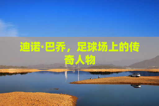 迪诺·巴乔，足球场上的传奇人物