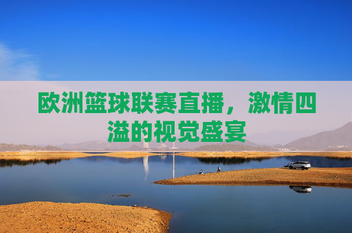 欧洲篮球联赛直播，激情四溢的视觉盛宴