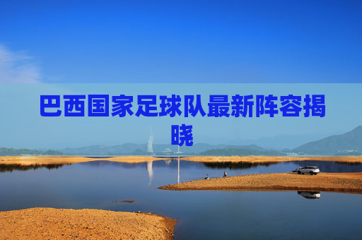 巴西国家足球队最新阵容揭晓