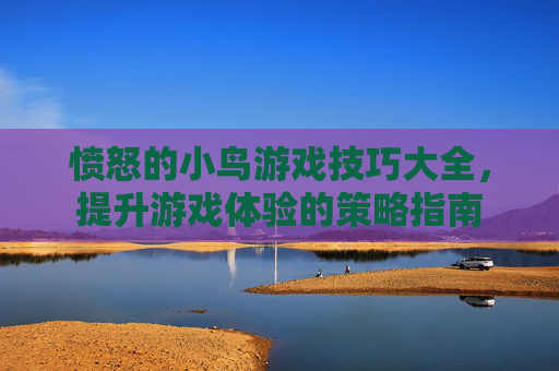 愤怒的小鸟游戏技巧大全，提升游戏体验的策略指南