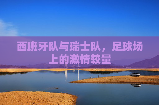 西班牙队与瑞士队，足球场上的激情较量