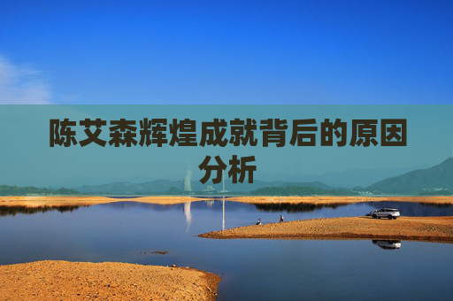 陈艾森辉煌成就背后的原因分析