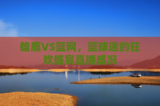 雄鹿VS篮网，篮球迷的狂欢盛宴直播盛况