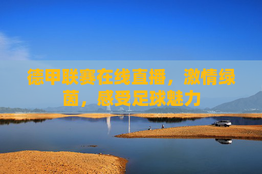 德甲联赛在线直播，激情绿茵，感受足球魅力