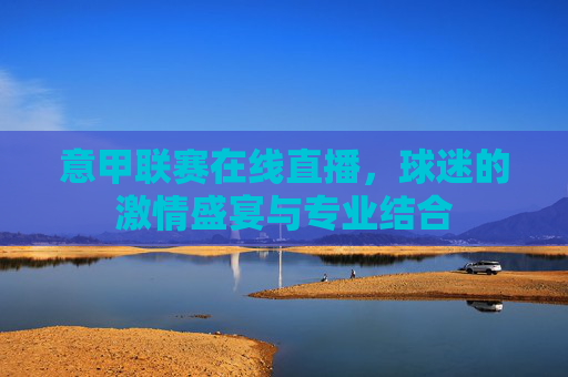 意甲联赛在线直播，球迷的激情盛宴与专业结合