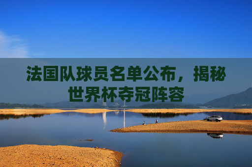 法国队球员名单公布，揭秘世界杯夺冠阵容