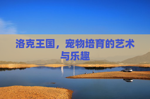 洛克王国，宠物培育的艺术与乐趣