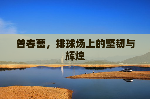 曾春蕾，排球场上的坚韧与辉煌