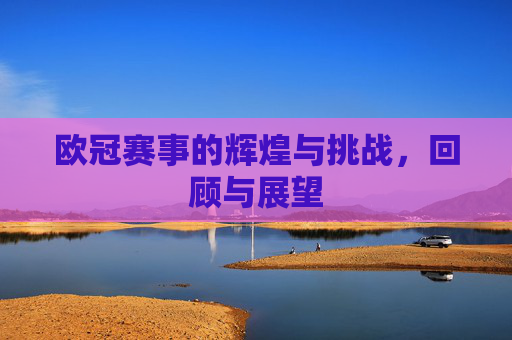 欧冠赛事的辉煌与挑战，回顾与展望