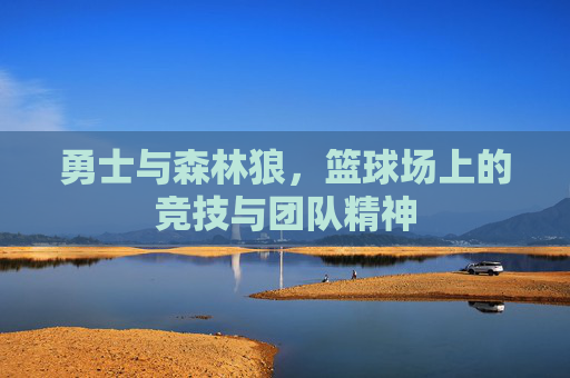 勇士与森林狼，篮球场上的竞技与团队精神