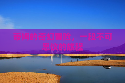 蒂姆的奇幻冒险，一段不可思议的旅程