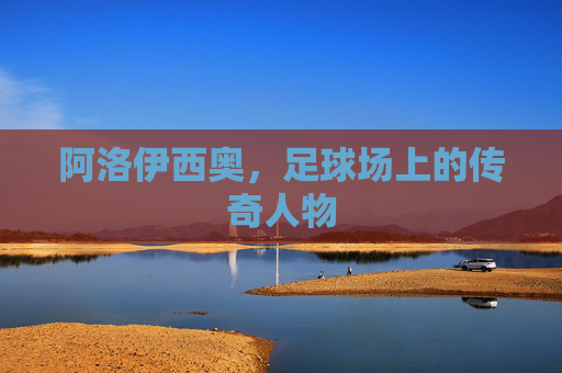 阿洛伊西奥,足球场上的传奇人物 阿洛伊西奥,足球场上的传奇人物