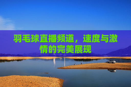 羽毛球直播频道，速度与激情的完美展现